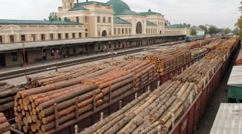 Порошенко ветував криміналізацію контрабанди лісу