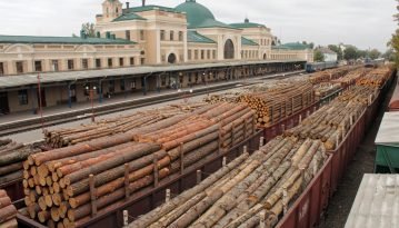 Порошенко ветував криміналізацію контрабанди лісу