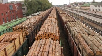 Гройсман вступив у боротьбу з контрабандою лісу-кругляку