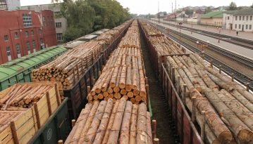 Гройсман вступив у боротьбу з контрабандою лісу-кругляку