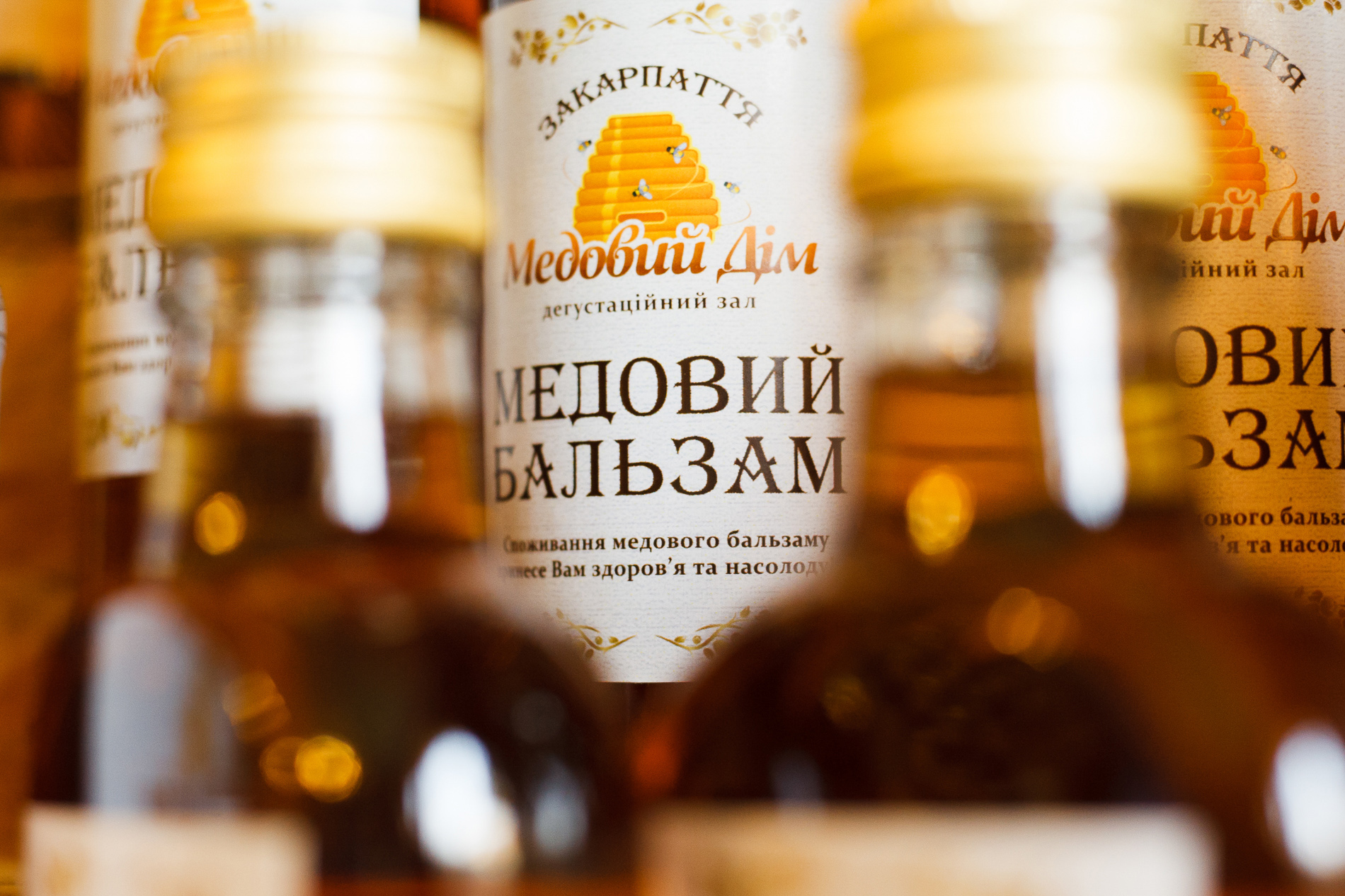 Запрошуємо … до вулика! Карпатські бджоли