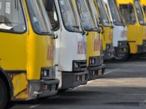 Як приборкати перевізників-нелегалів
