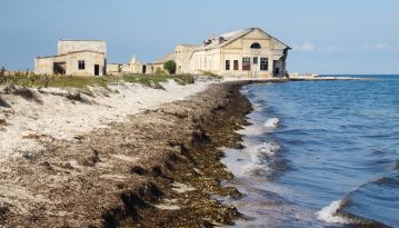 Ахіллів біг або український рай для відлюдників