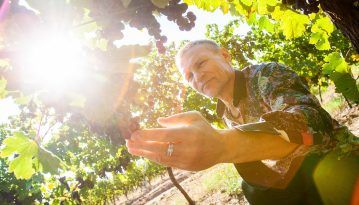 Wine as a dream: Oleg Skrypka makes author's sunny drink in Zakarpattia