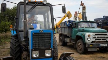 Україна заробила на аграрному експорті майже 12 млрд доларів