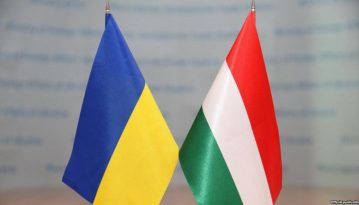 У МЗС Угорщини прокоментували паспортний скандал на Закарпатті
