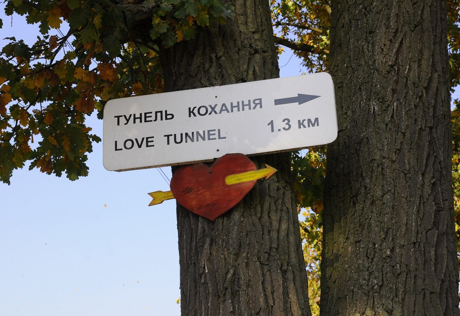 Індустрія кохання. Дівчата з клеванського тунелю