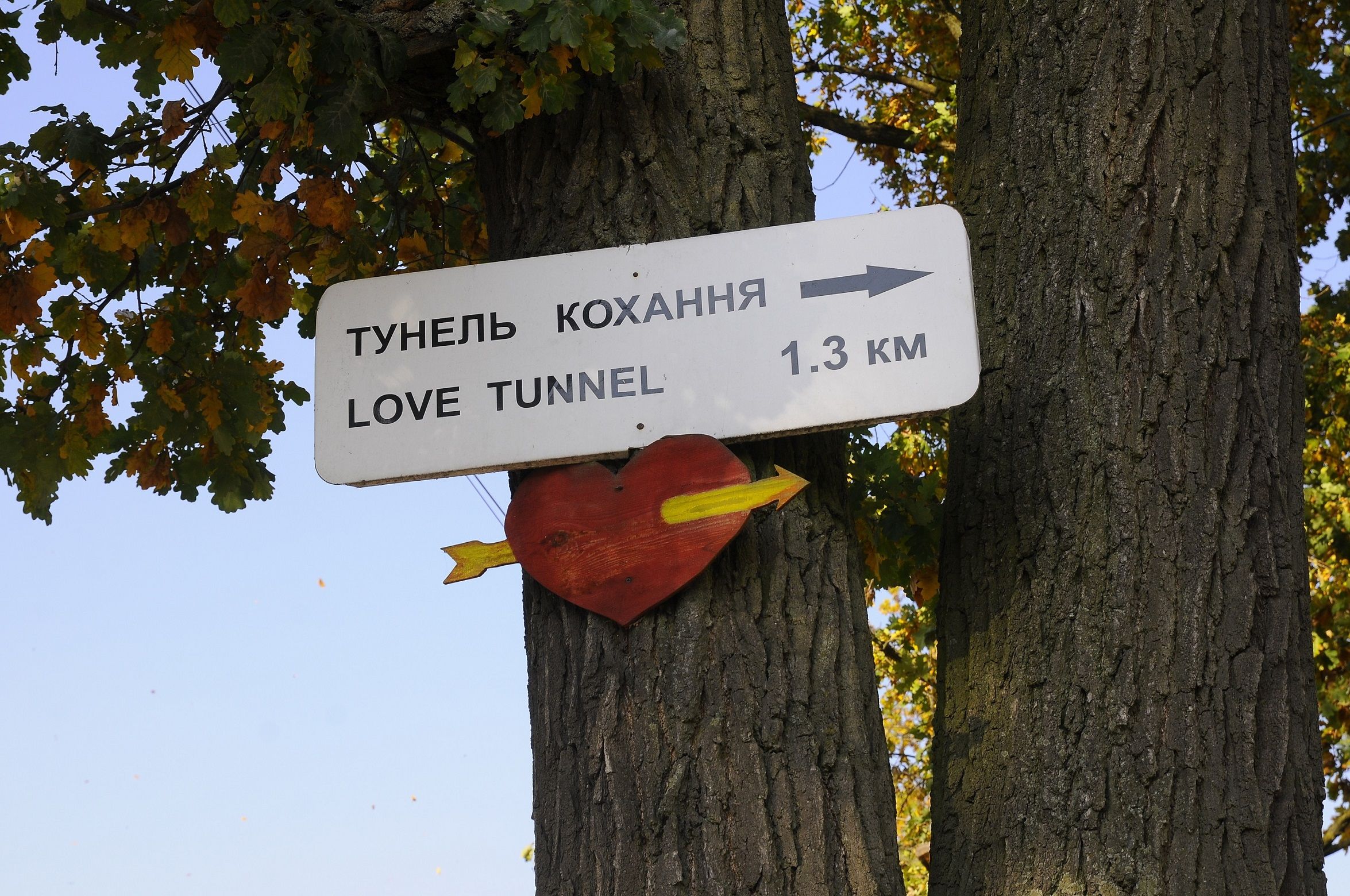 Індустрія кохання. Дівчата з клеванського тунелю