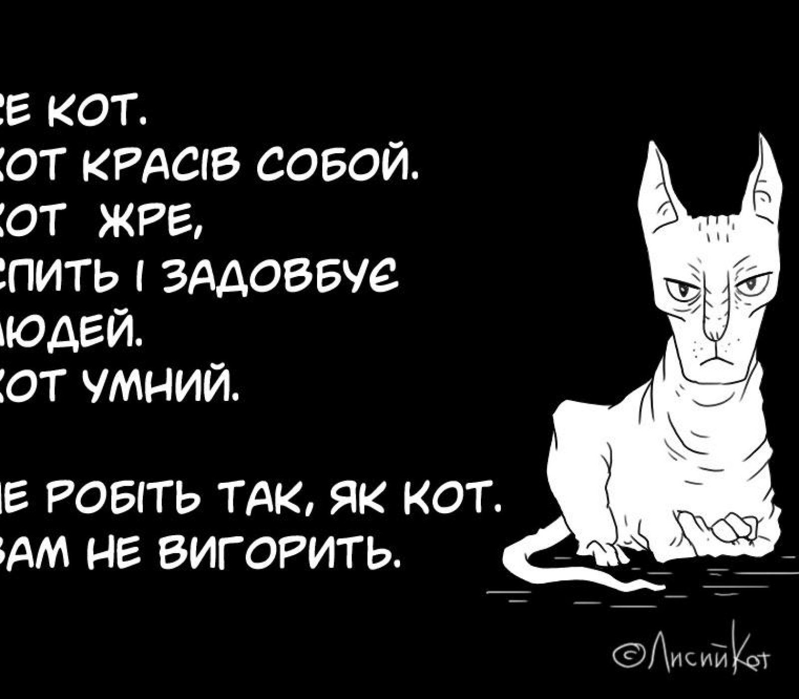 кот5