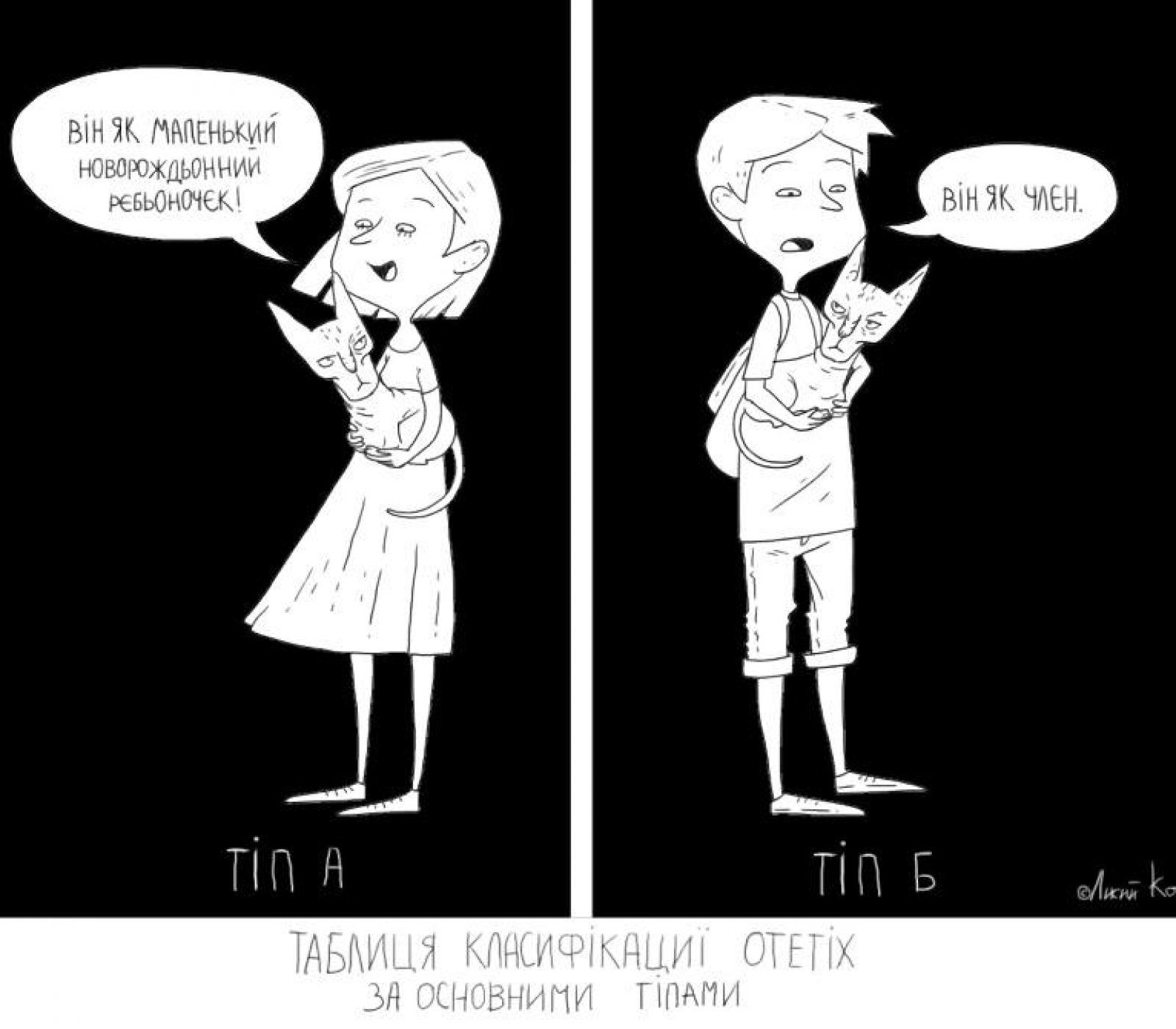 кот8