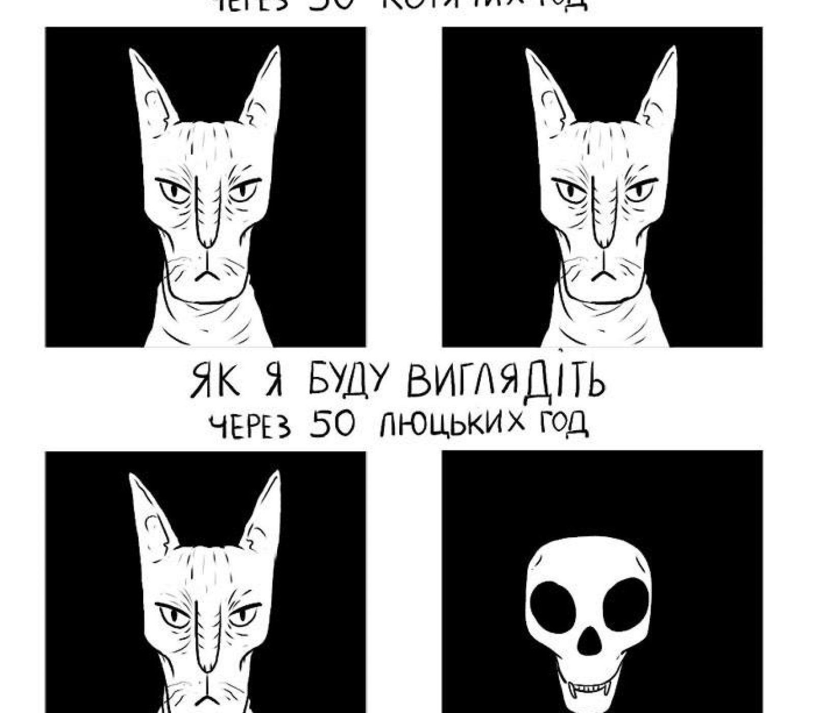 кот9