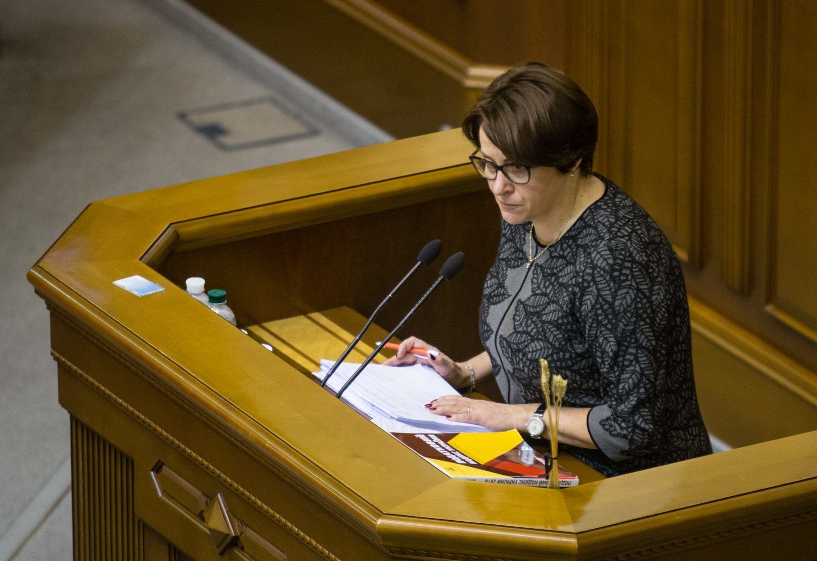 Бюджет розвитку чи стагнації: Рада ухвалила головний фінансовий документ