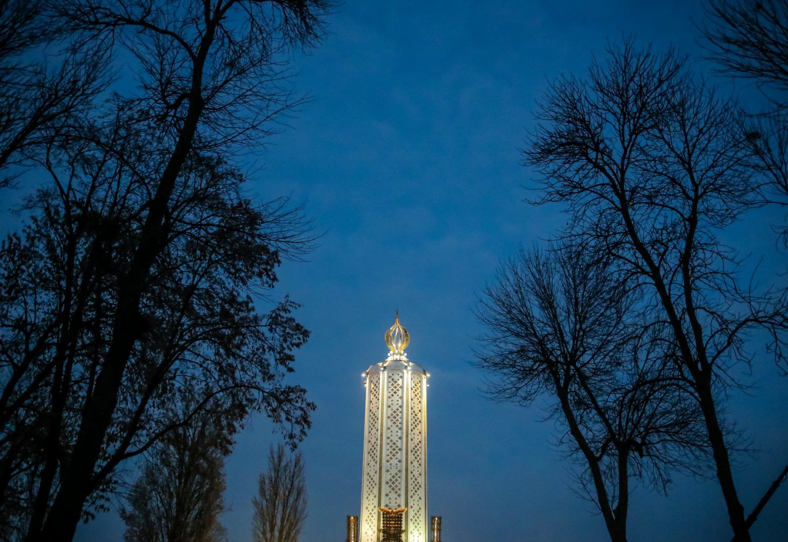 Не розчинитись у забутті: в Києві вшанували пам’ять жертв Голодомору (ФОТО)