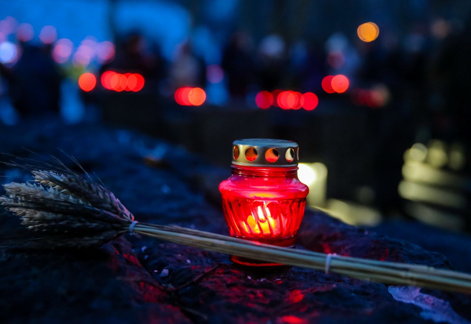 Не розчинитись у забутті: в Києві вшанували пам’ять жертв Голодомору (ФОТО)