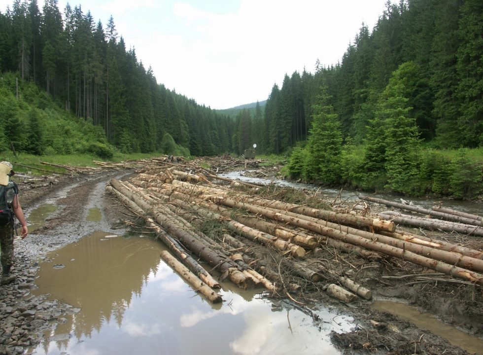 Де були Карпати, будуть Лисі Гори?