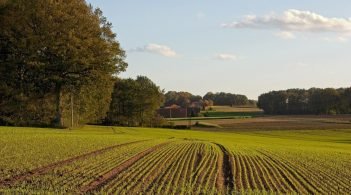 Нардепи продовжили мораторій на продаж землі ще на один рік