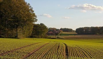 Нардепи продовжили мораторій на продаж землі ще на один рік