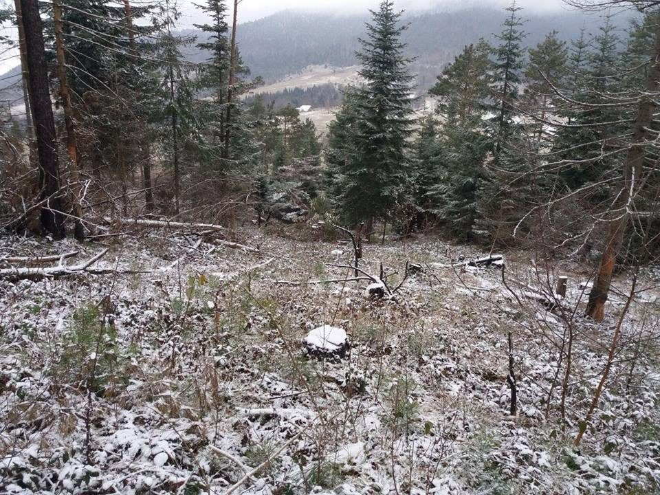 Де були Карпати, будуть Лисі Гори?