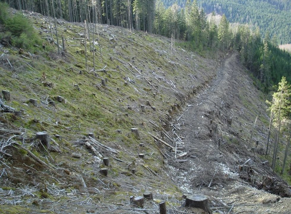 Де були Карпати, будуть Лисі Гори?