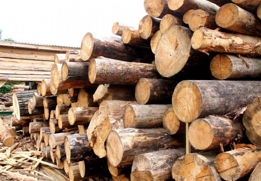 ЄС закликав Україну скасувати мораторій на експорт необробленої деревини