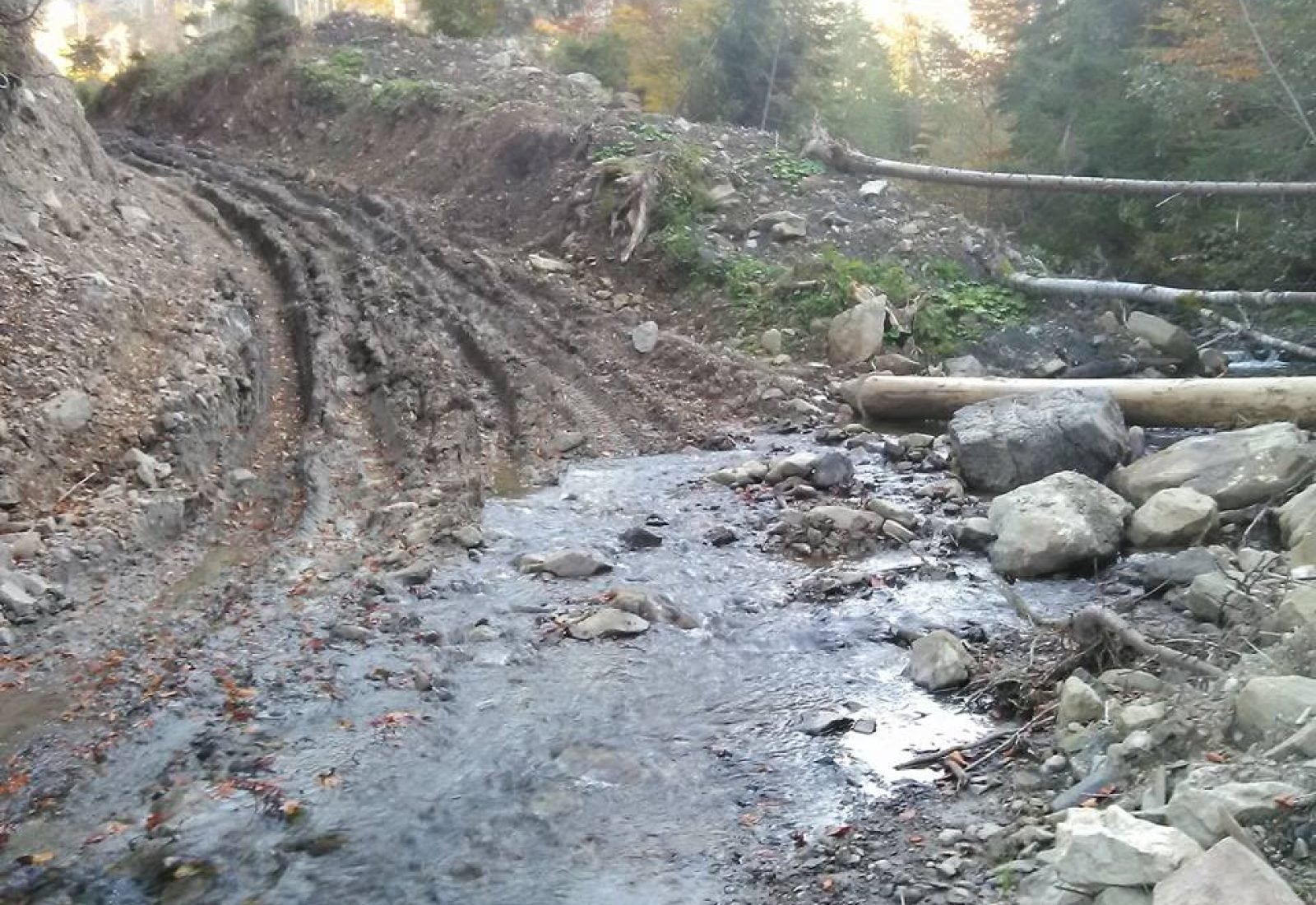 Де були Карпати, будуть Лисі Гори?