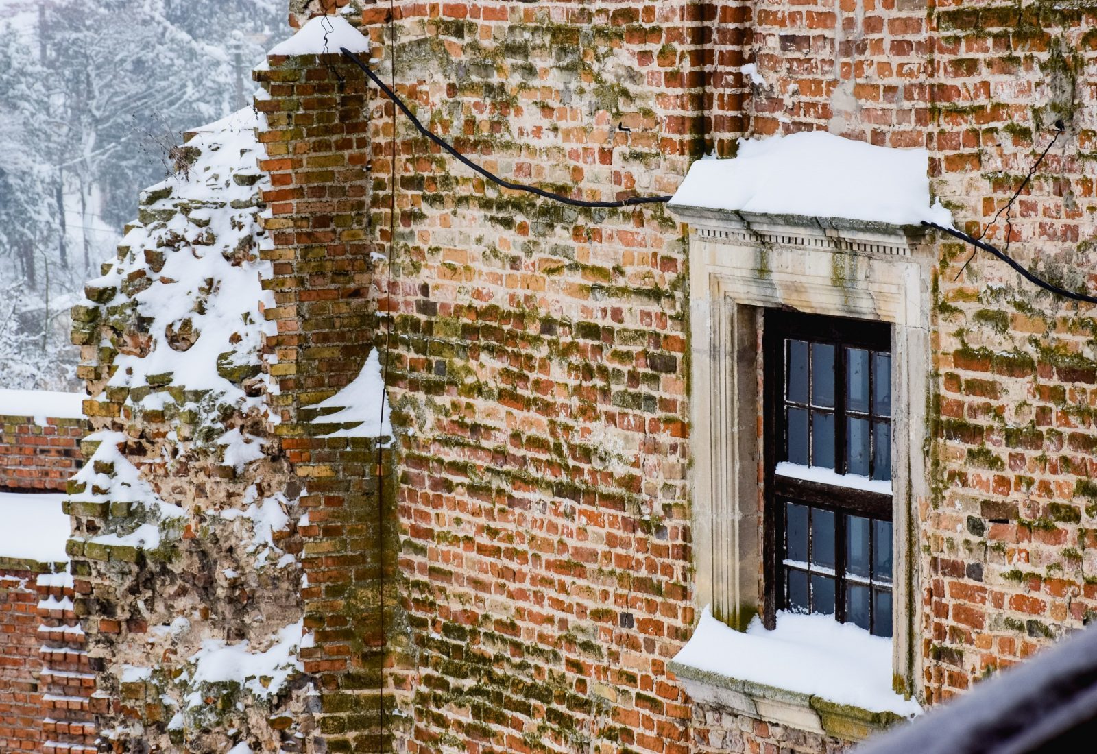 DSC_0694