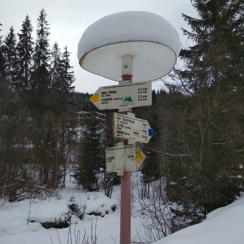 Неймовірна краса: маршрут вихідного дня зимовими Карпатами (фото)
