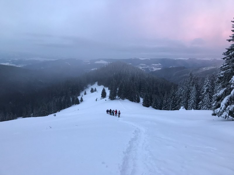 Неймовірна краса: маршрут вихідного дня зимовими Карпатами (фото)