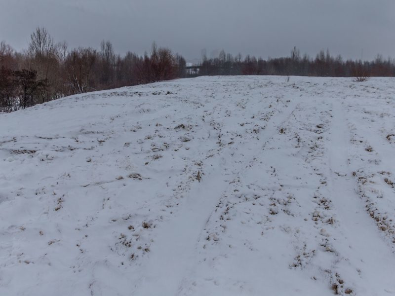 Оаза простору: відкриваємо маленьку київську пустелю
