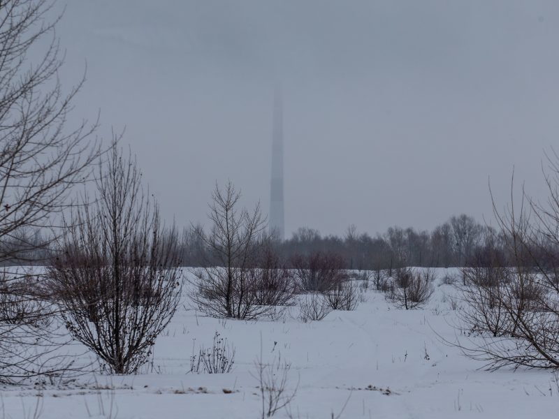 Оаза простору: відкриваємо маленьку київську пустелю