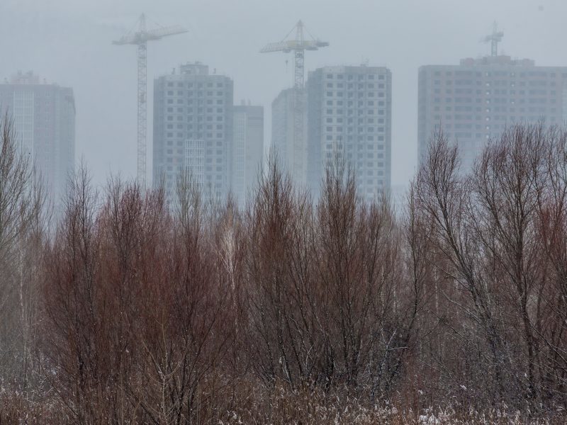 Оаза простору: відкриваємо маленьку київську пустелю