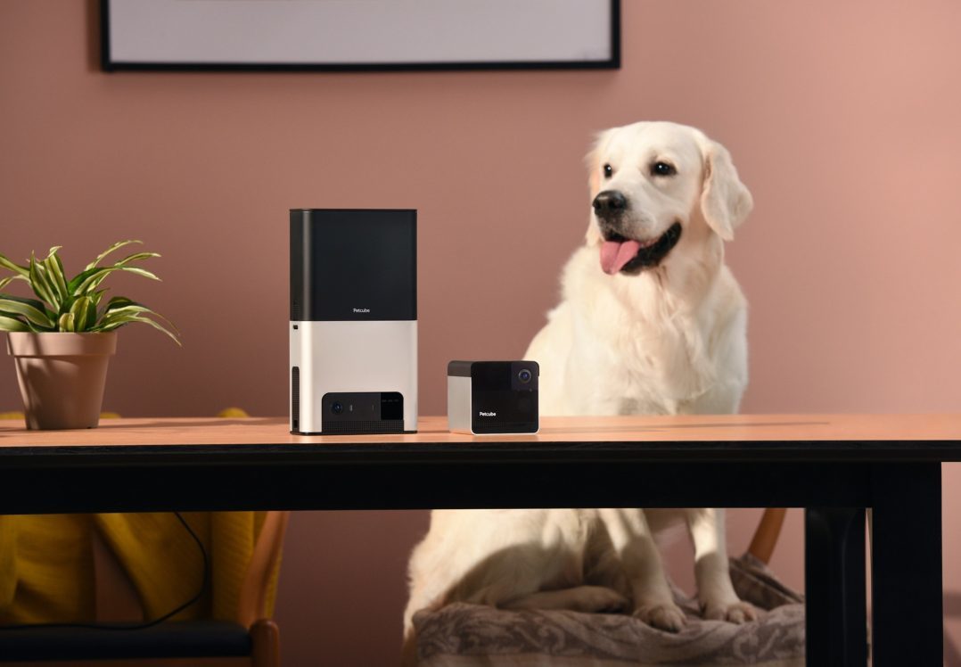 Український стартап Petcube: розуміти тварин та ніколи не зупинятися