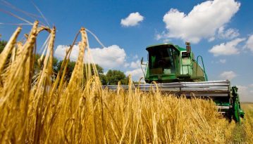 Україна заробила на експорті зерна рекордні 7,2 млрд доларів