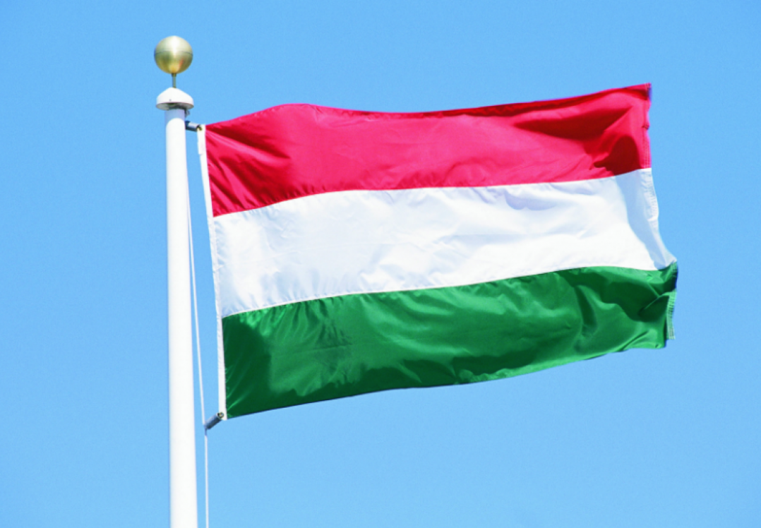 Official Hungary named the educational law in Ukraine "semi-fascist"