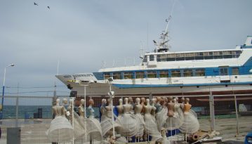 Холодні кримські дні зими 2014-го