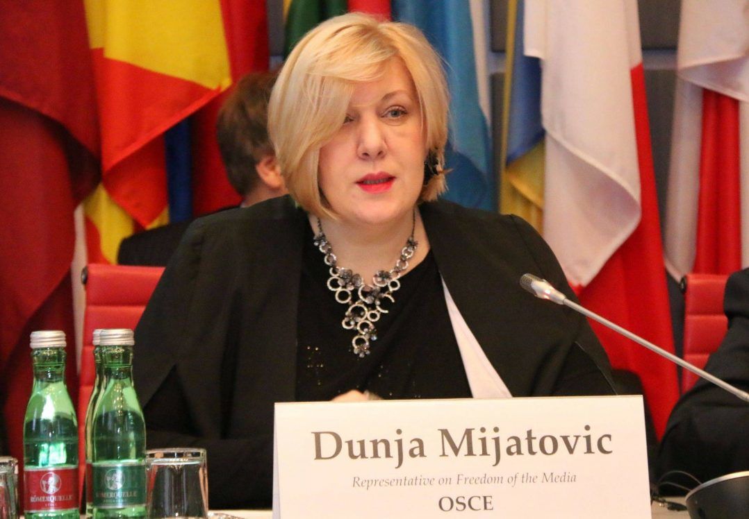 У Раді Європи закликали ВРУ відкласти голосування за мовний закон