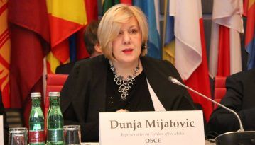 У Раді Європи закликали ВРУ відкласти голосування за мовний закон