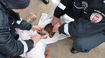 Волинські митники пропустили до Польщі контрабандний бурштин на 50 млн грн