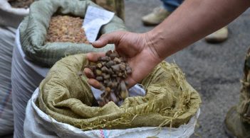 In Volyn, customs officers beat the journalists who are investigating the smuggling of amber