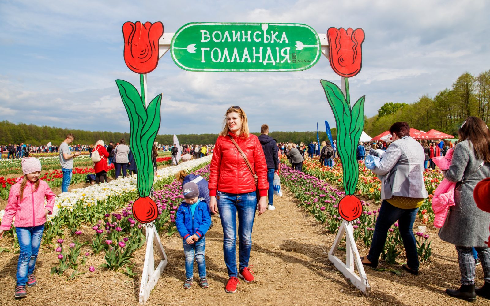 «Шановні, не лягайте в рядки!» На Волині – тюльпанове божевілля