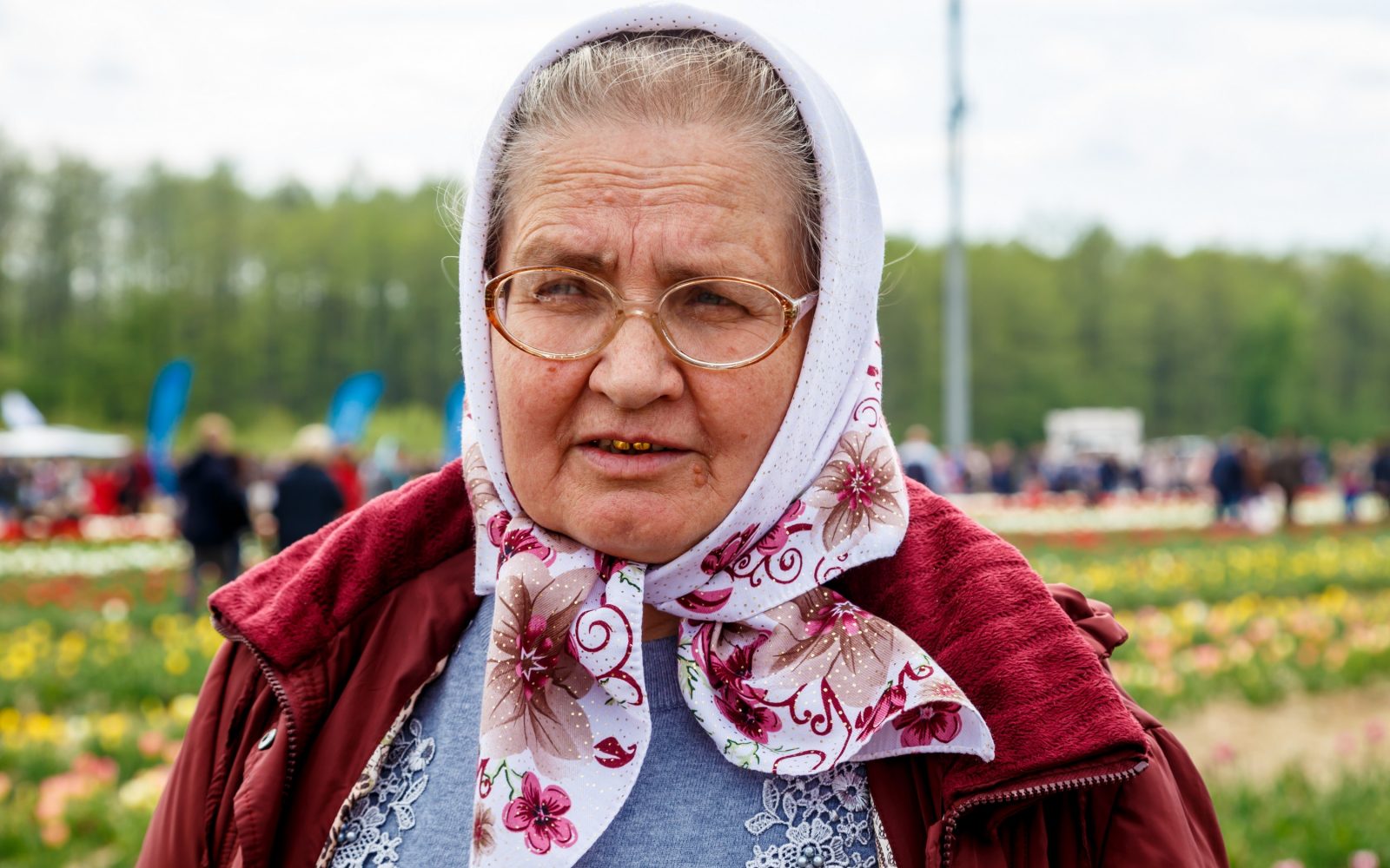 «Шановні, не лягайте в рядки!» На Волині – тюльпанове божевілля