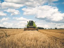 Старі економічні виклики для нової влади