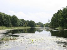 Небезпечних інсектицидів у річці Рось не знайшли