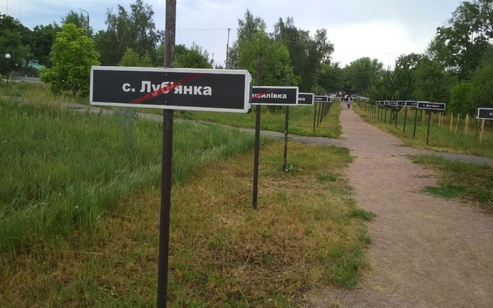 photo5229103617976413171