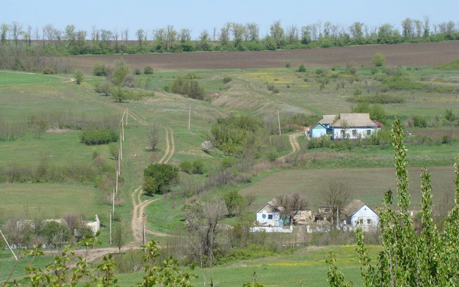Давайте сковородувати