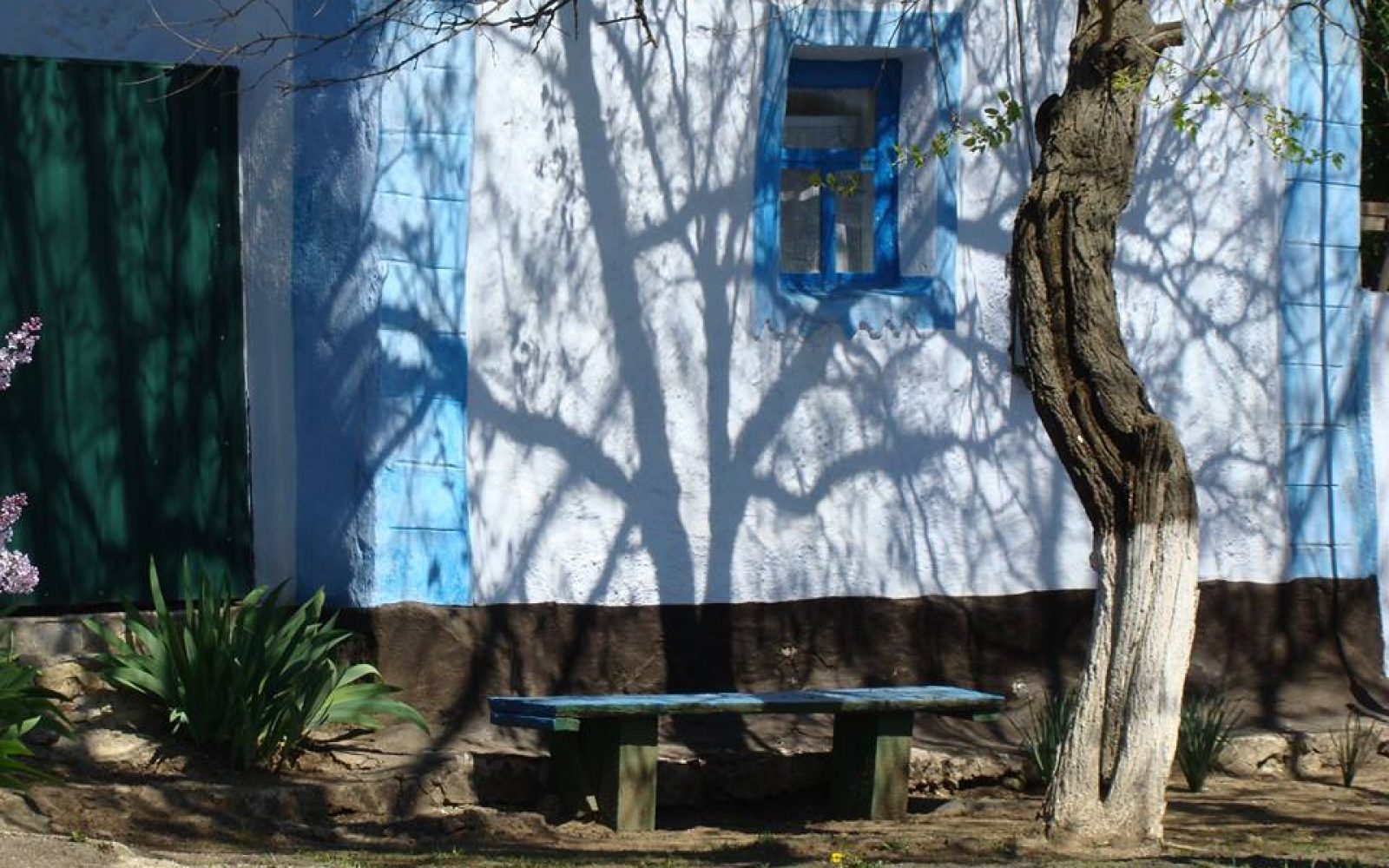 Давайте сковородувати