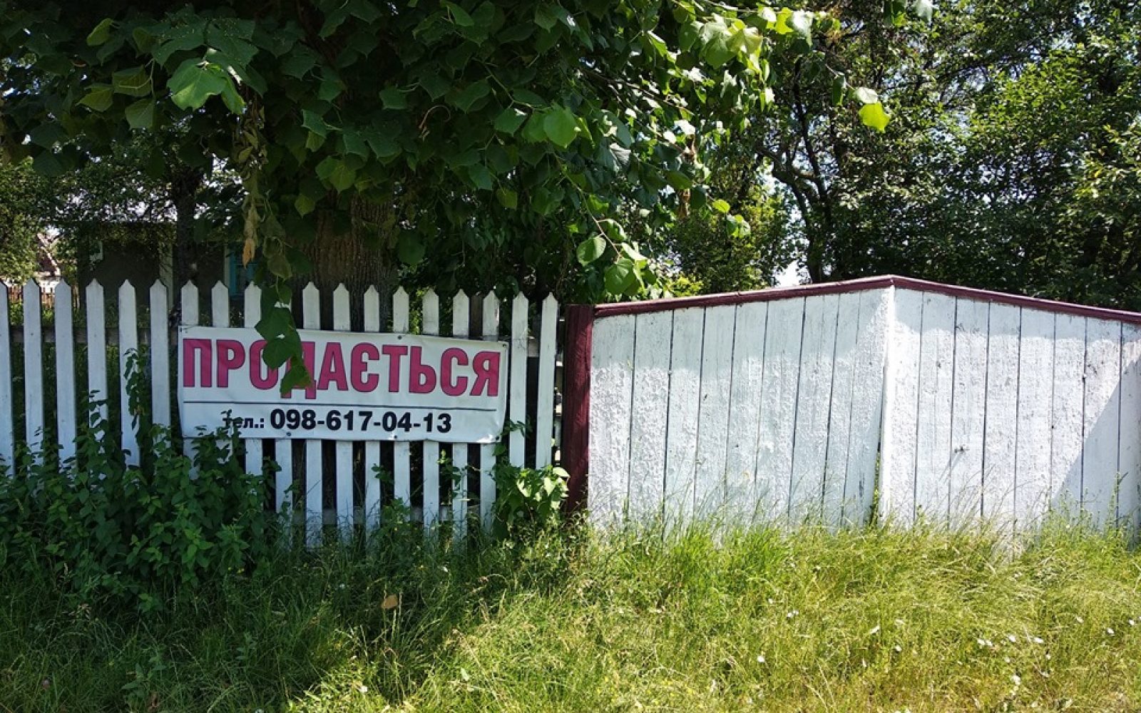 Давайте сковородувати: Radyvyliv Dream