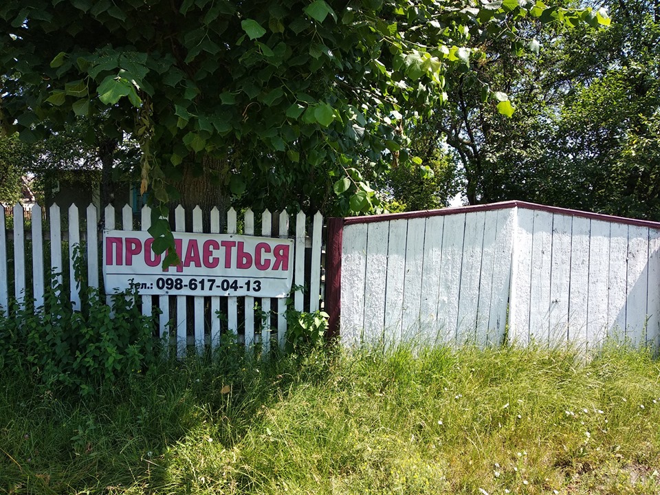 Давайте сковородувати: Radyvyliv Dream