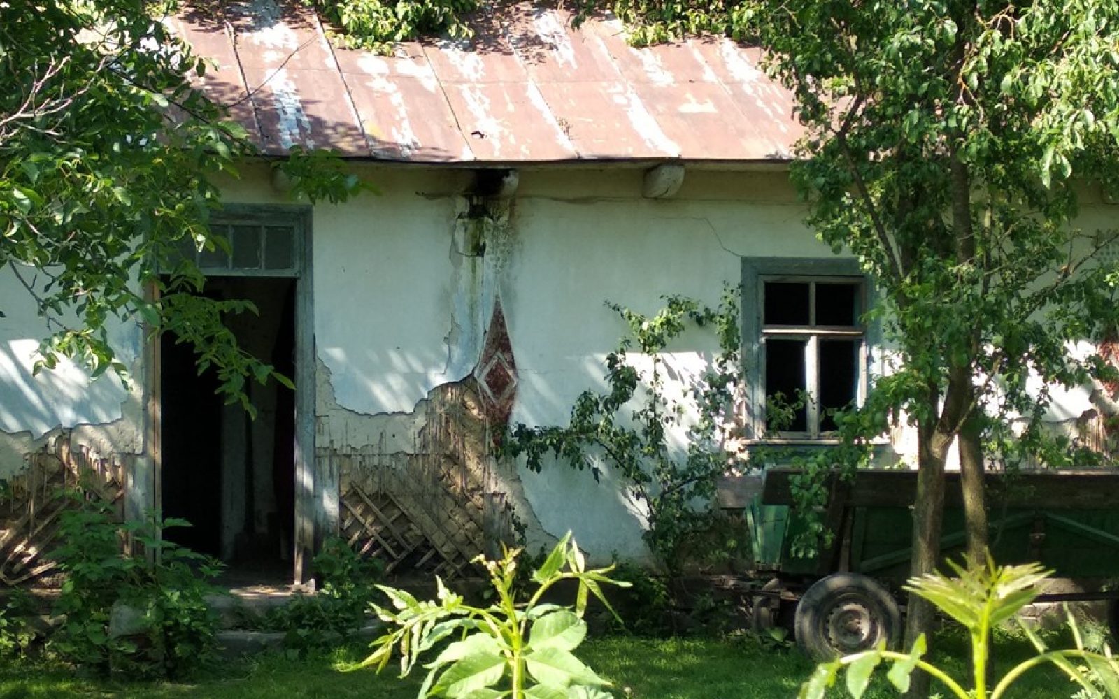 Давайте сковородувати: Radyvyliv Dream