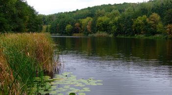 У річку Рось потрапили інсектициди, у Білій Церкві відключають воду